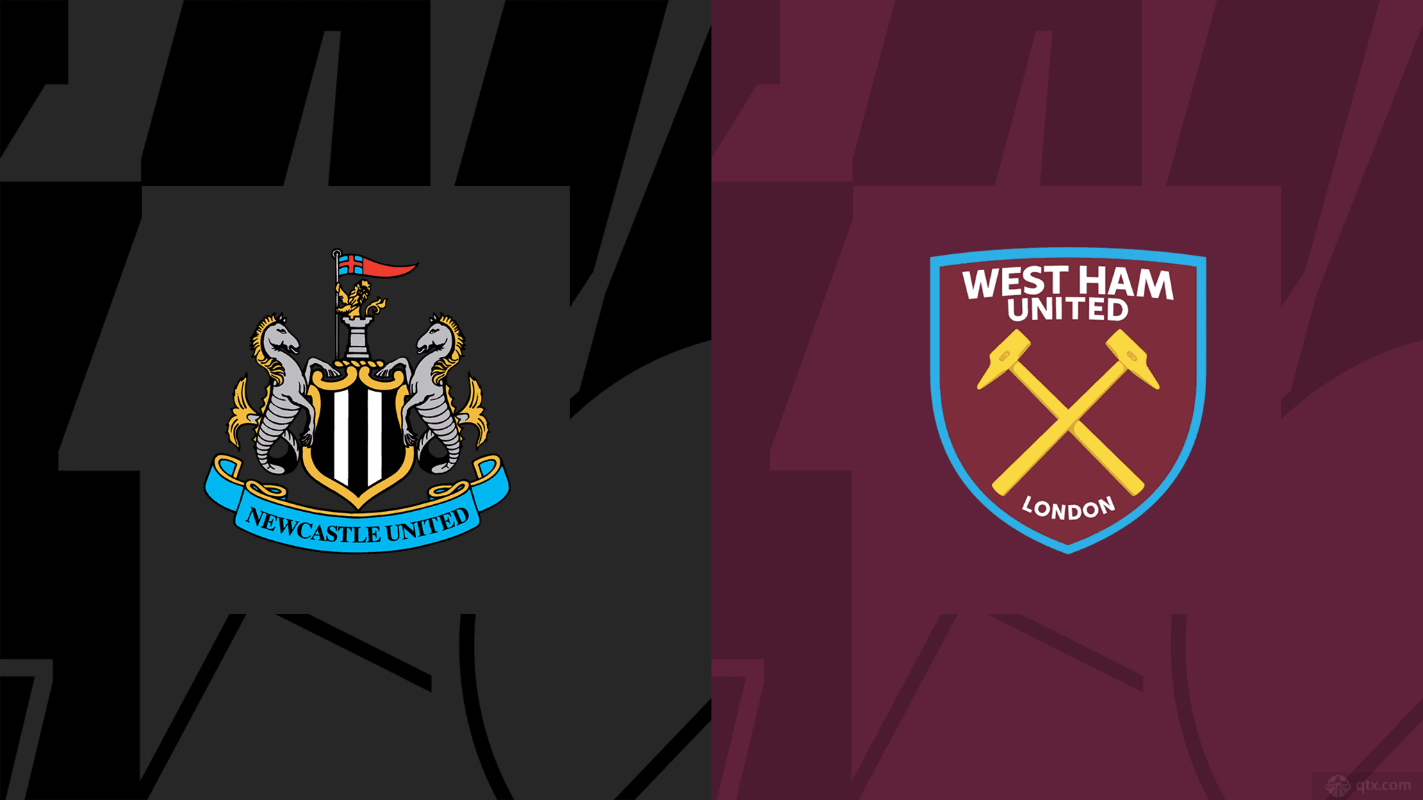 也揭示了背 也揭示了背