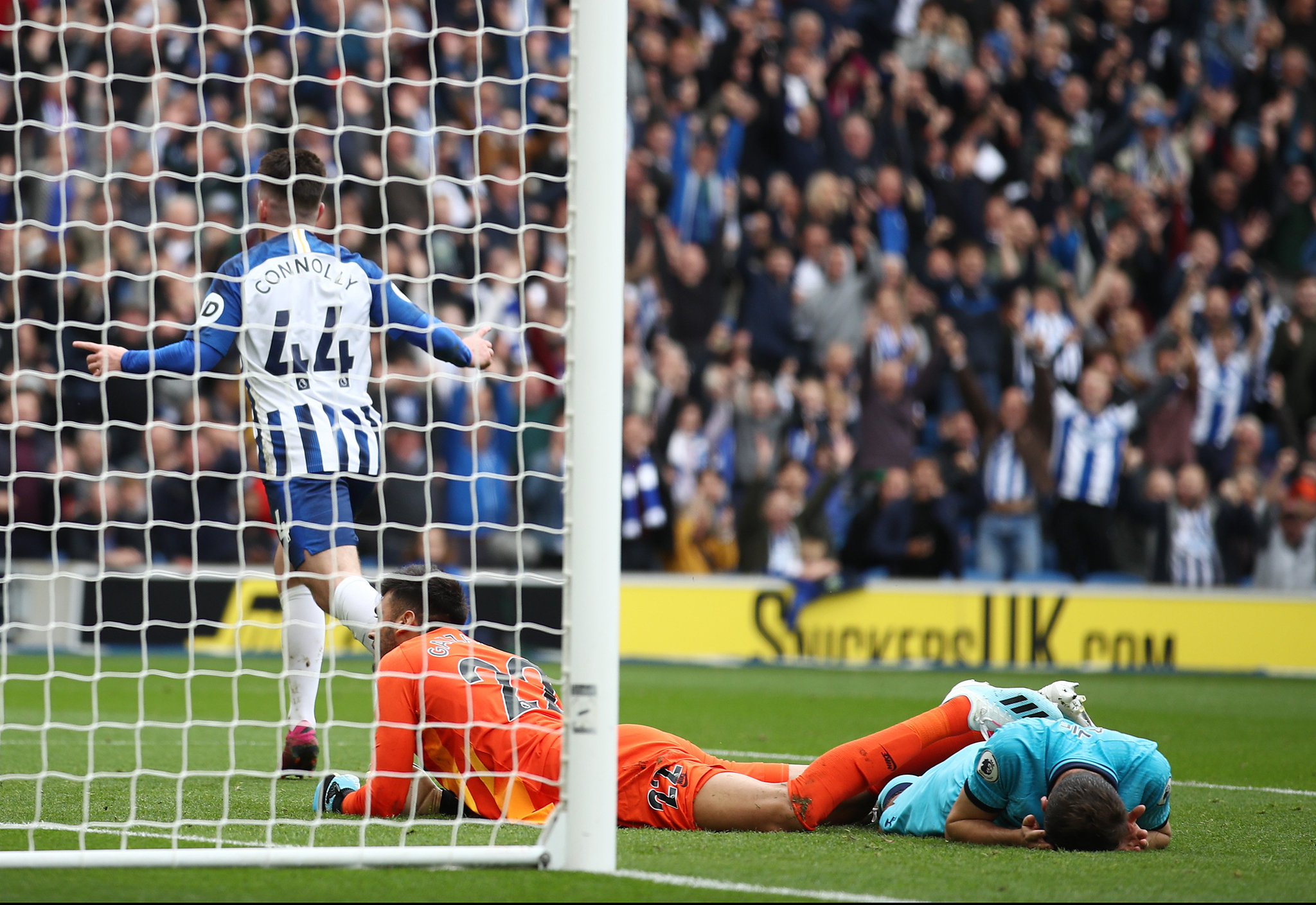 补他所留下 补他所留下